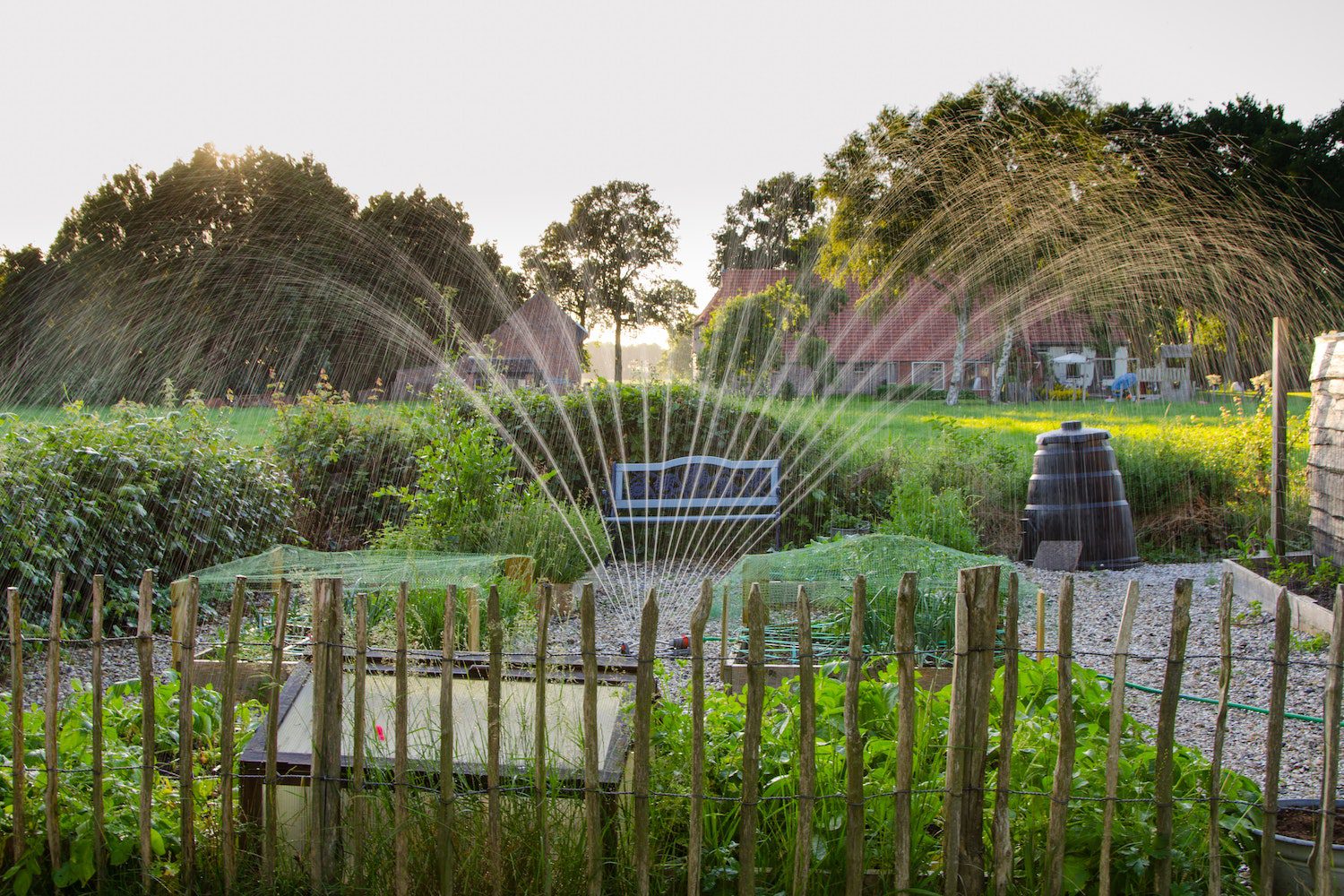 Spraying of Water on Plants<br />