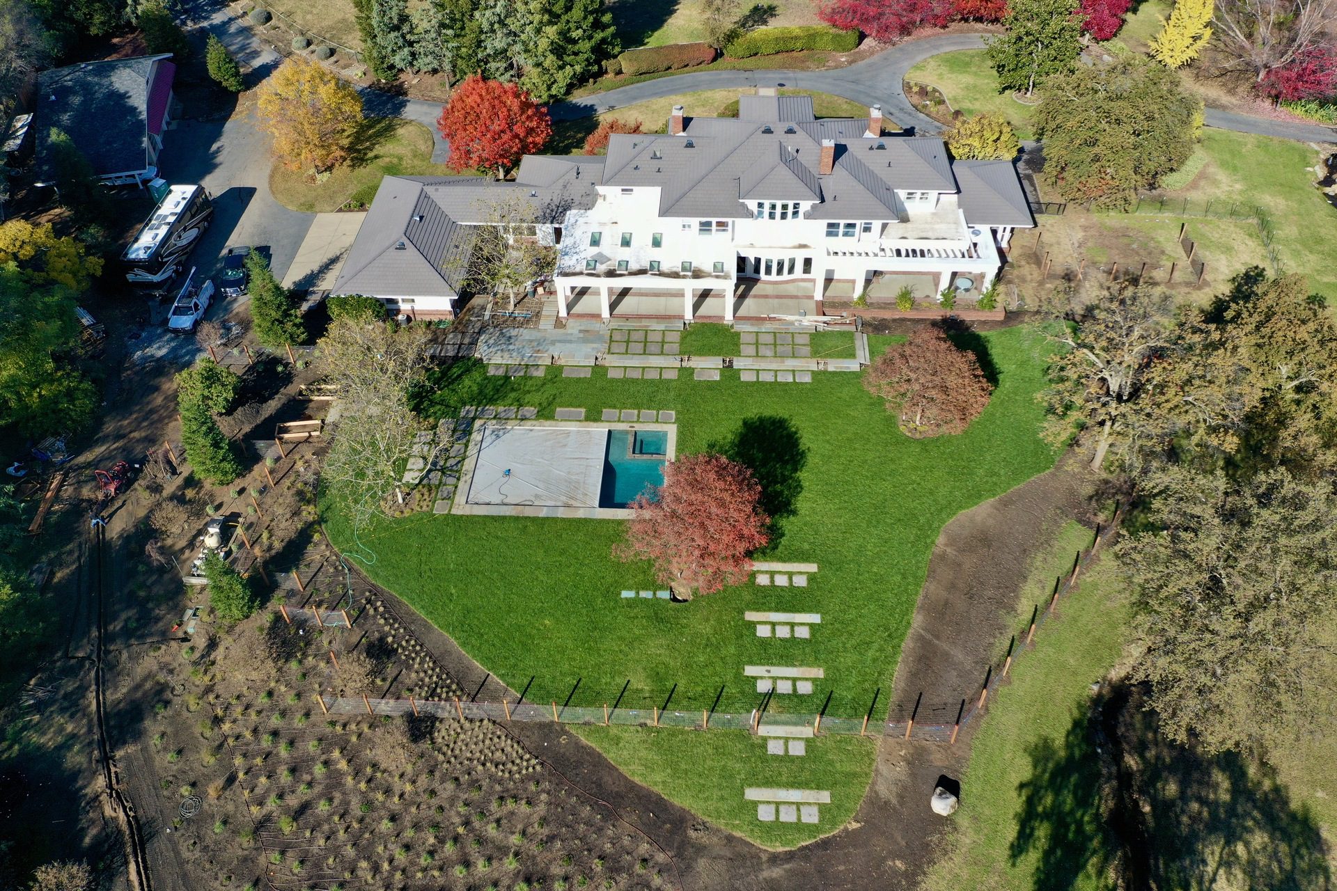 Turn an Old Lawn into a Green Paradise Turn an Old Lawn into a Green Paradise